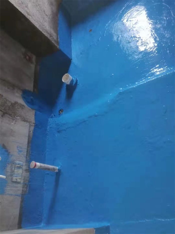 mmexport1566982726517.jpg
