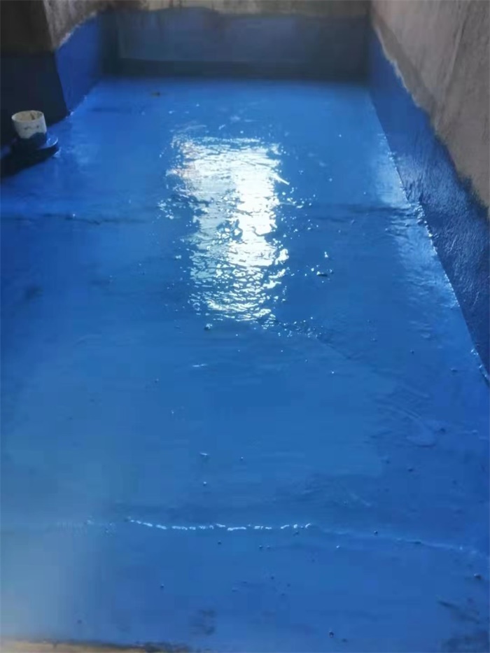 mmexport1566982772422.jpg