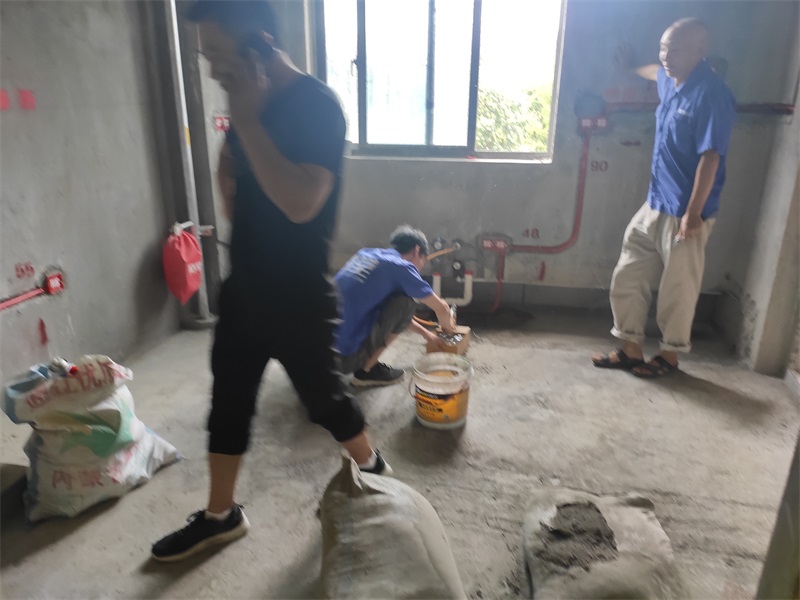 IMG_20190825_083529.jpg