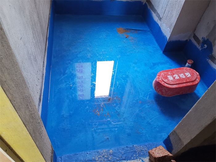 IMG_20190823_080448.jpg