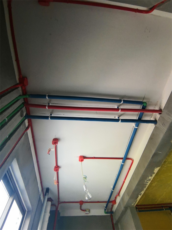 IMG_20190822_084933.jpg