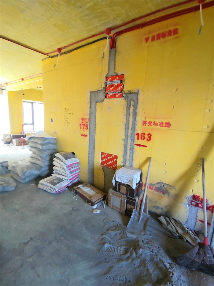 IMG_20190814_092425.jpg