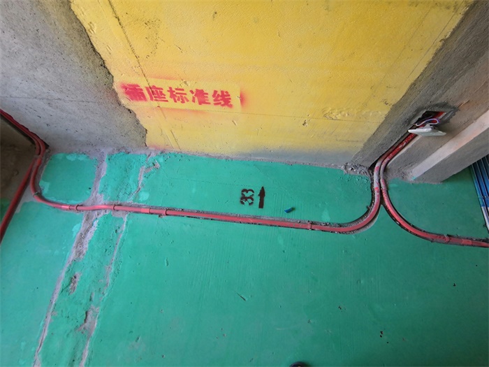 IMG_20190814_080224.jpg