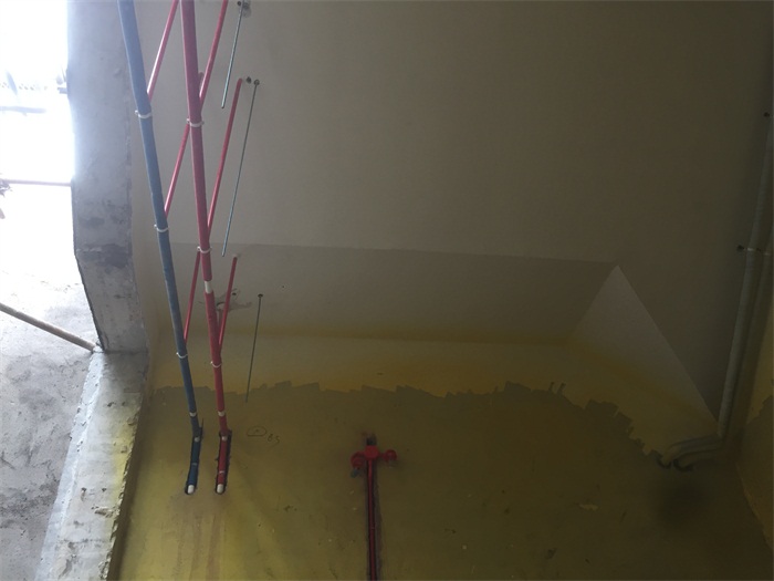 IMG_2661.JPG