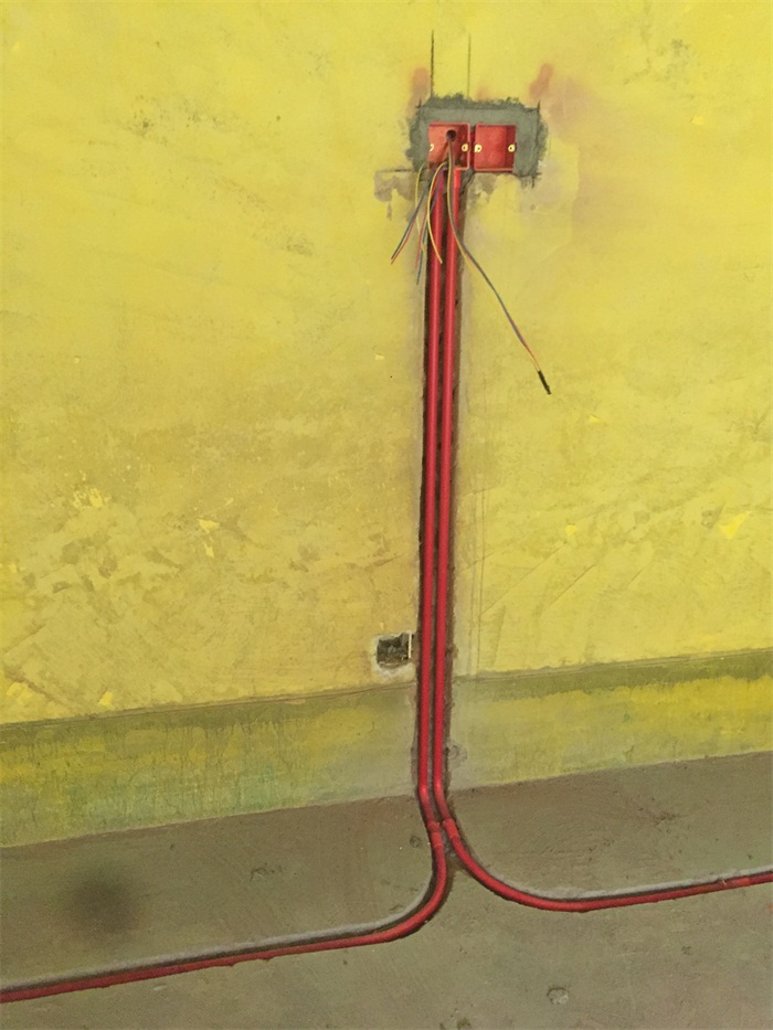 IMG_2951.JPG