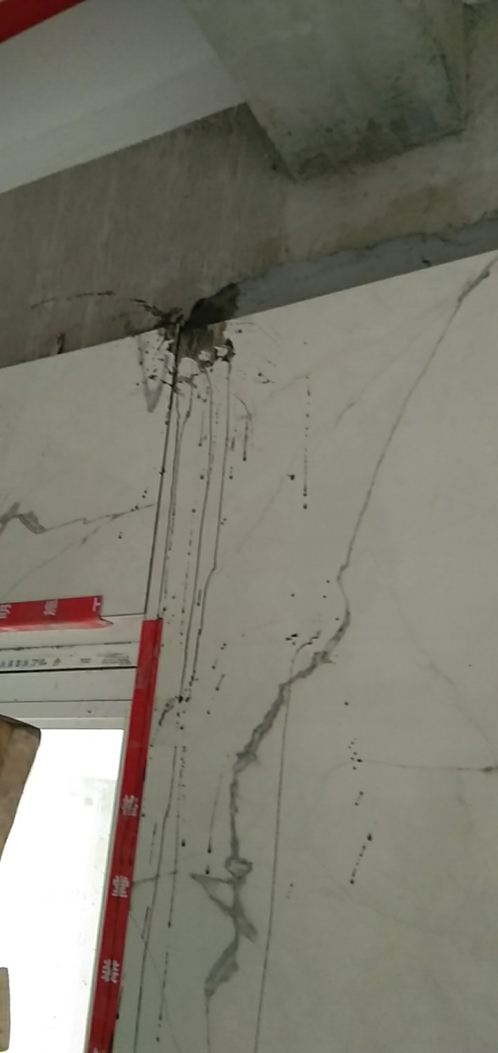 mmexport1562911541024.jpg