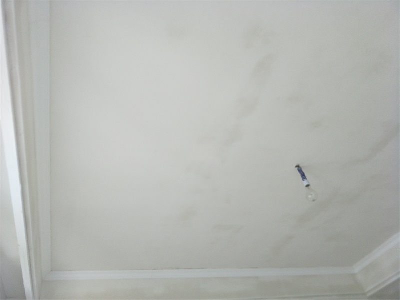 IMG20190829150517.jpg