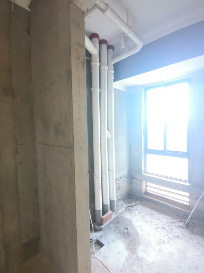 IMG_20190829_095018.jpg