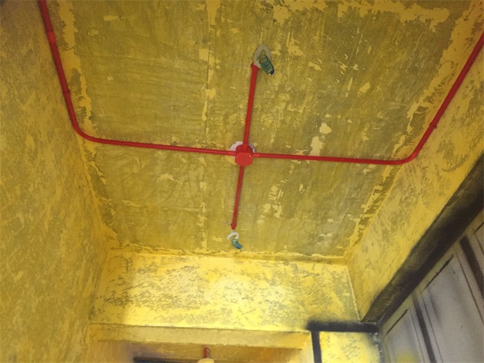 IMG_4121.JPG