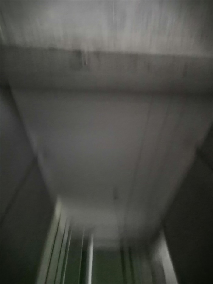 IMG_20190829_101648.jpg