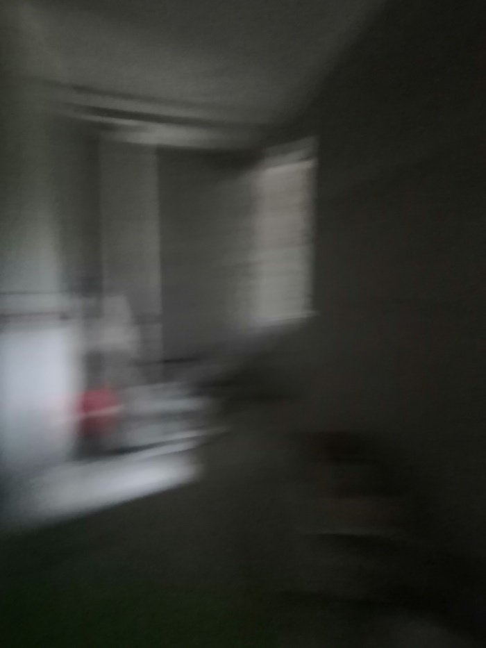 IMG_20190829_101652.jpg