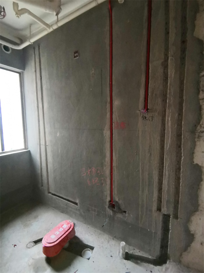 IMG_20190903_092420.jpg