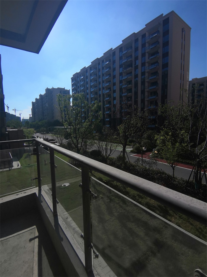 IMG_20190905_154404.jpg
