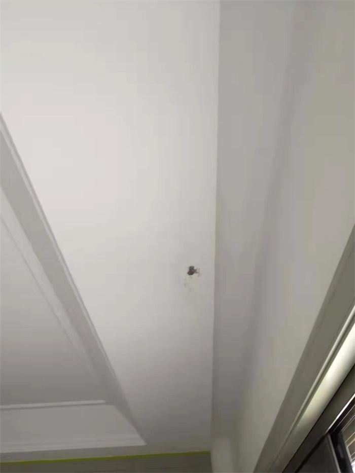 6ec36c78f0f08991f9b95d40915e311.jpg