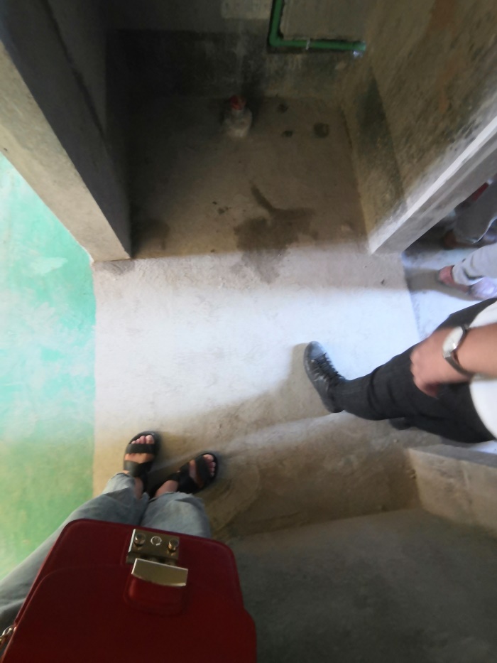 IMG_20190727_101720.jpg