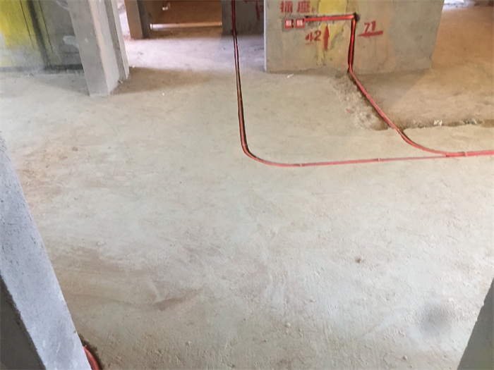 IMG_9719.JPG