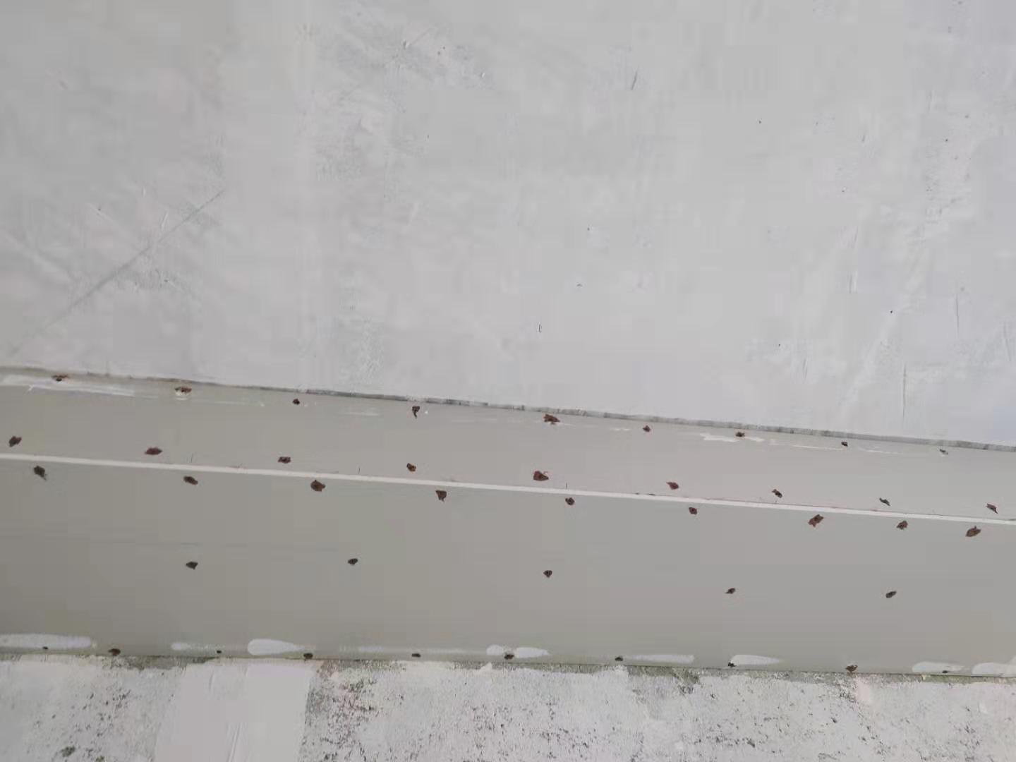 f5c8b72762259b2c550f30b0773f33f.jpg
