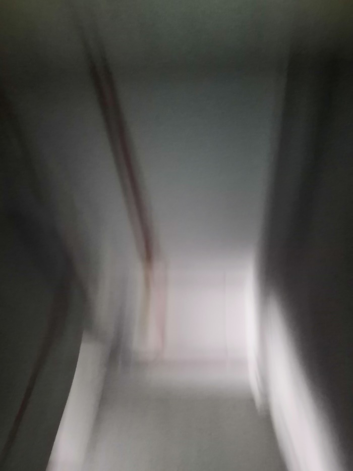 IMG_20190905_150657.jpg