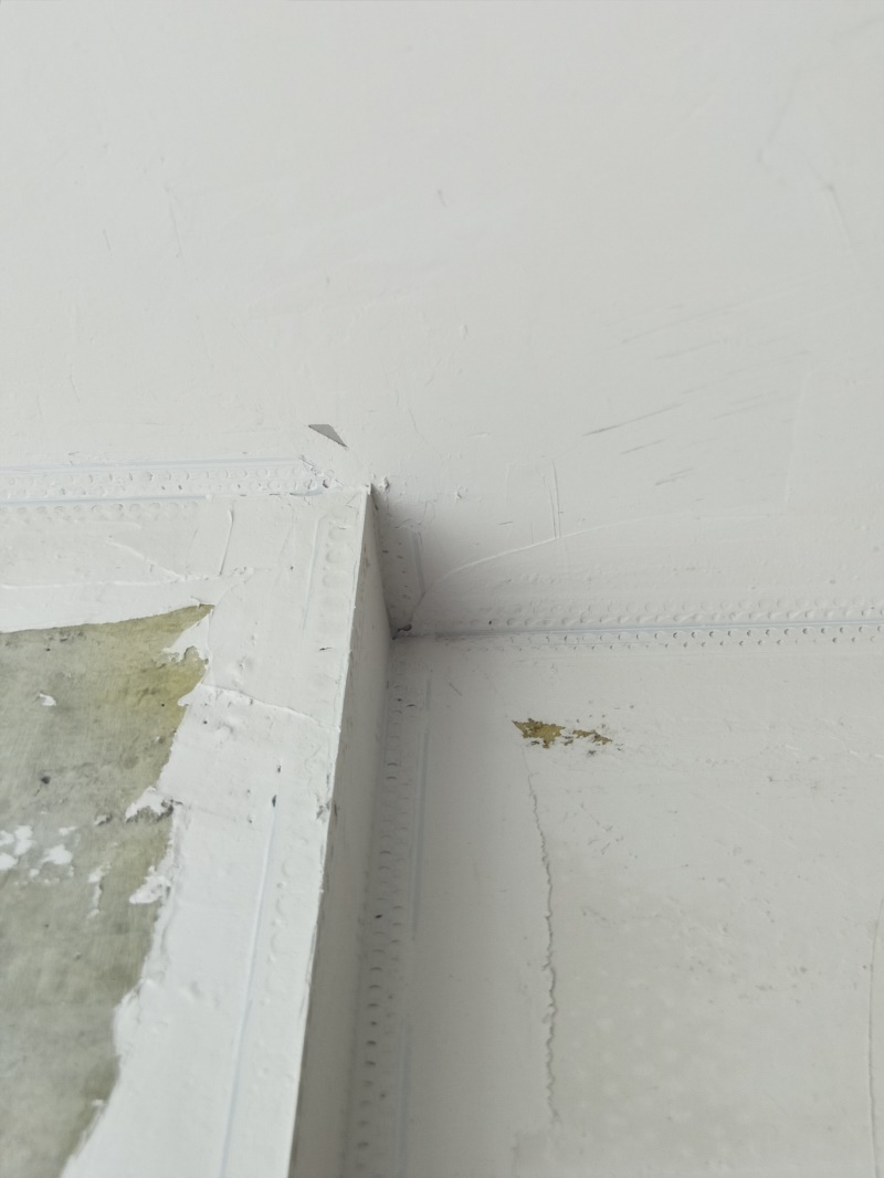 IMG20190908120650.jpg