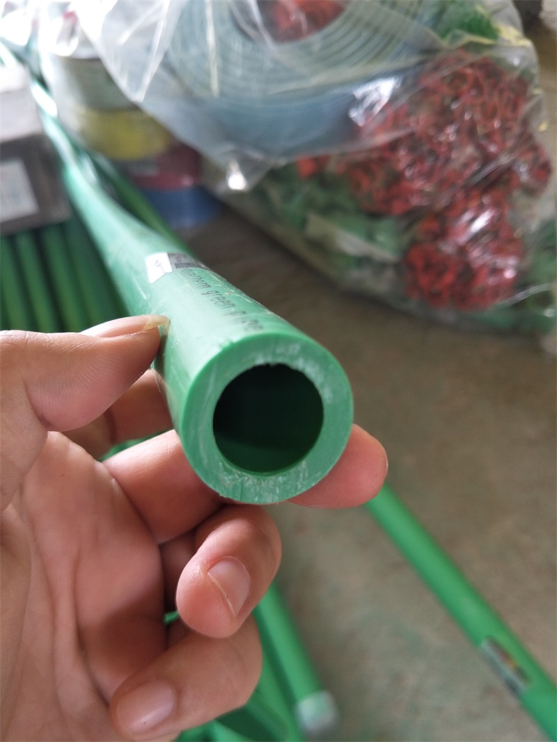 IMG20190903094554.jpg