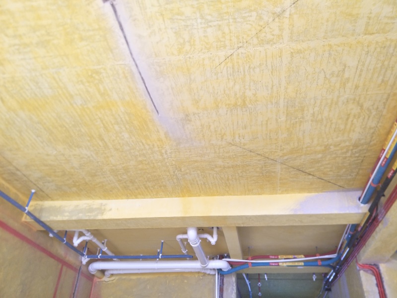 IMG20190921080208.jpg