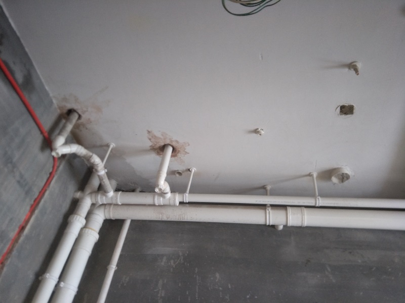IMG20190921080311.jpg
