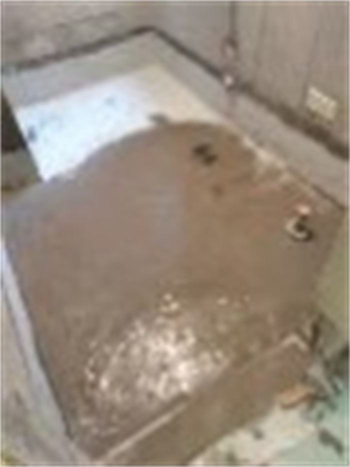 mmexport1569482219731.jpg