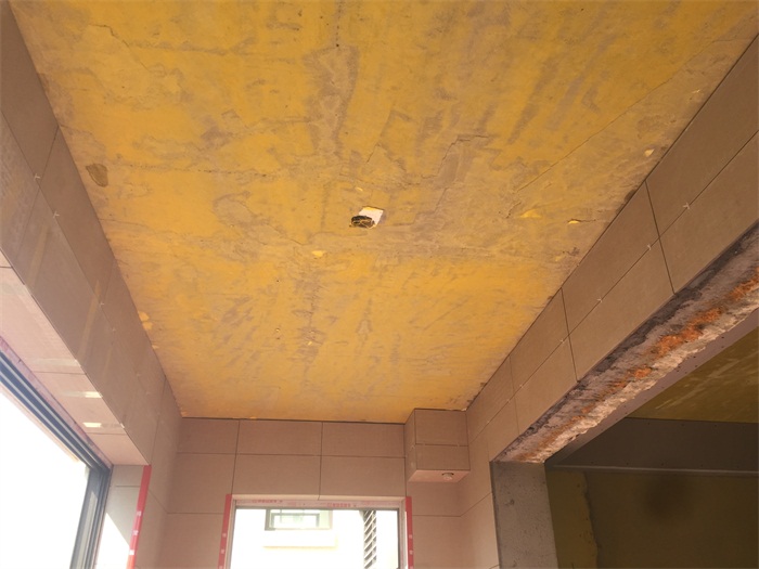 IMG_8556.JPG
