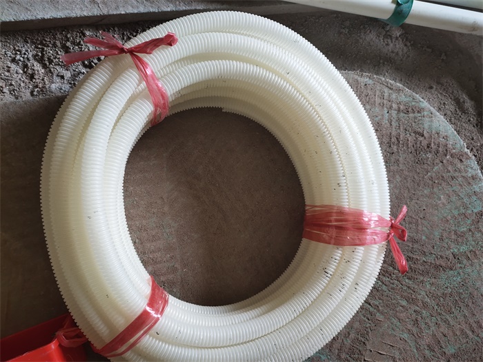 IMG_20190916_092059.jpg
