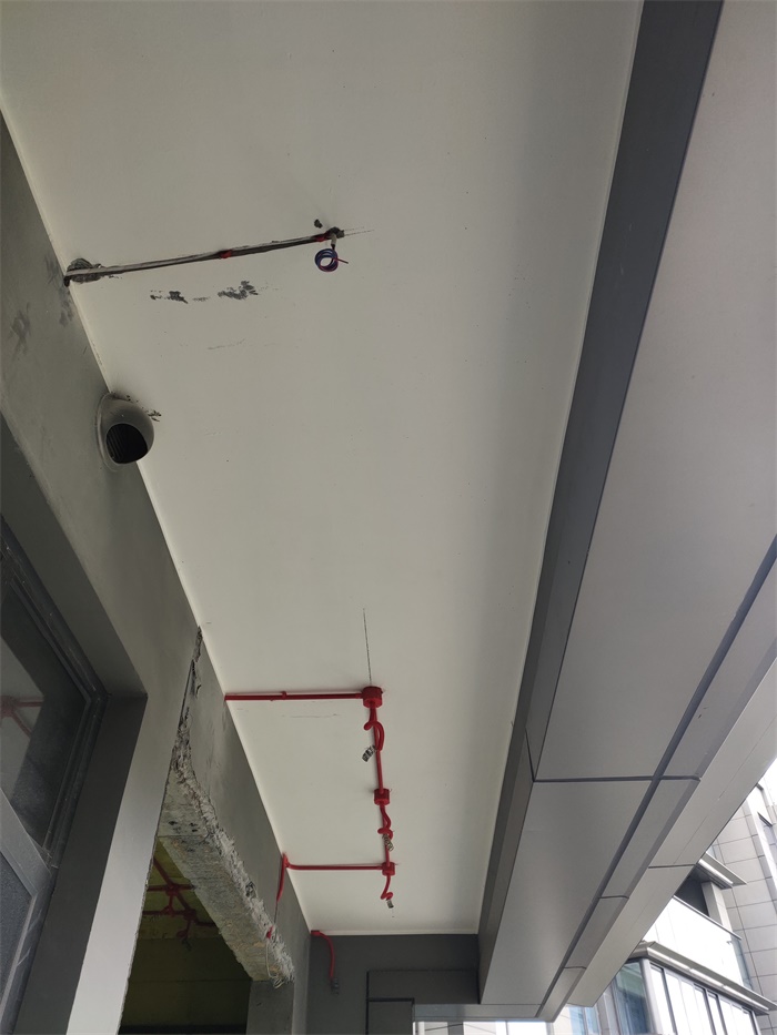 IMG_20190922_104039.jpg
