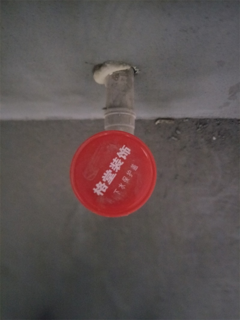 IMG20190925091128.jpg