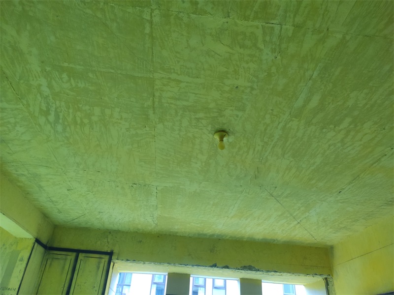 IMG_20191008_092010.jpg