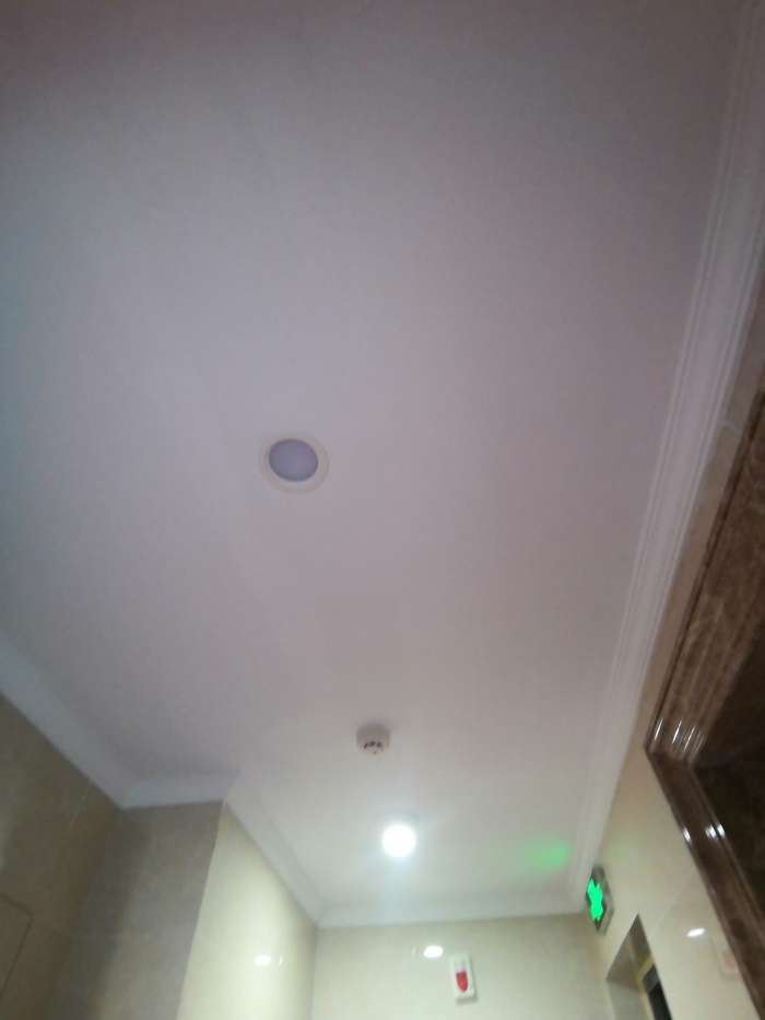 IMG_20190929_084943.jpg