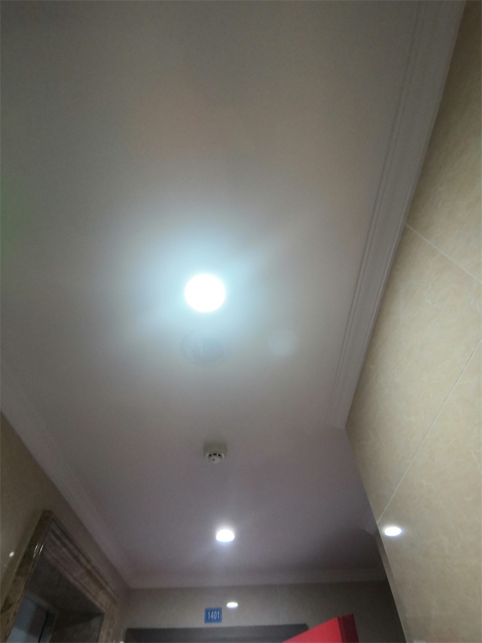 IMG_20190929_084953.jpg