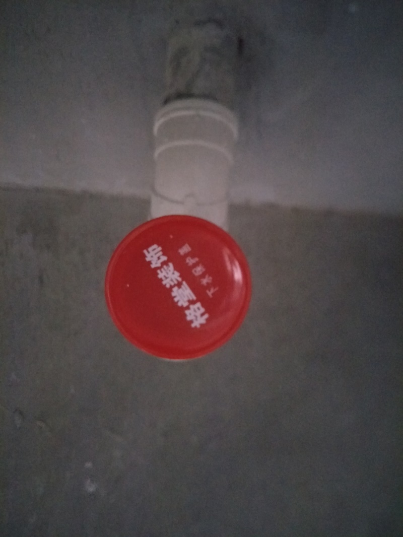 IMG20191002080713.jpg