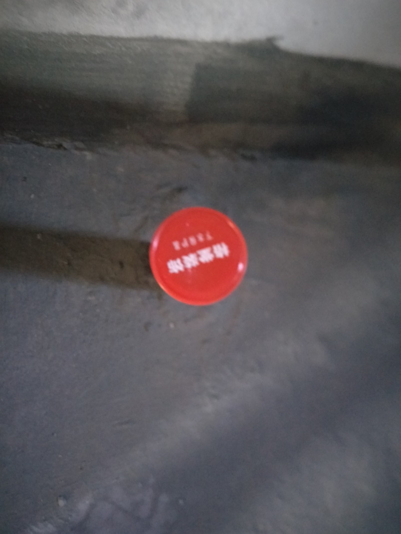 IMG20191002080826.jpg