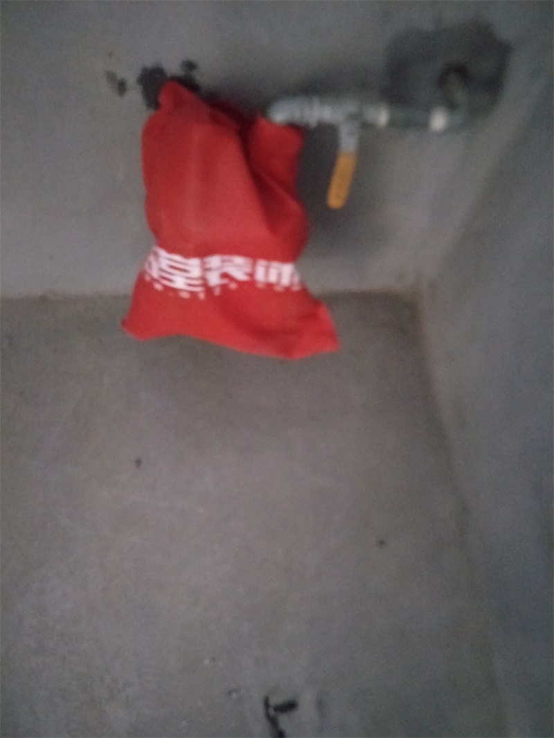 IMG20191002080801.jpg