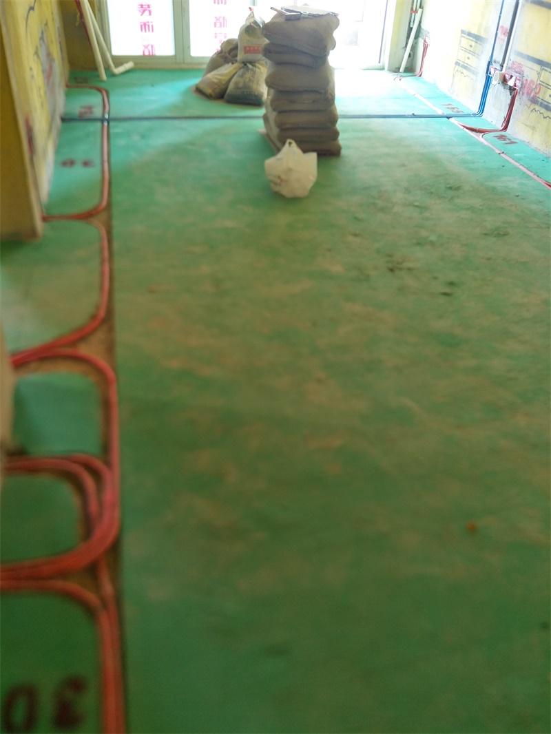 IMG20190928135253.jpg