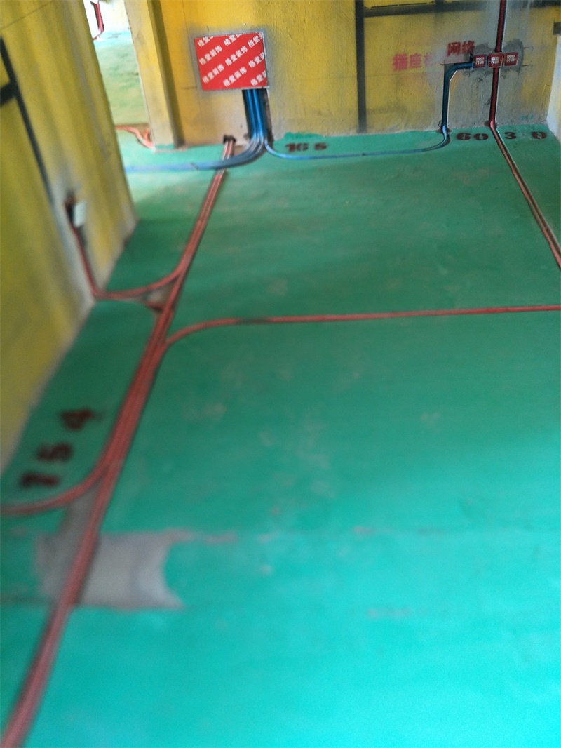 IMG20190928135522.jpg