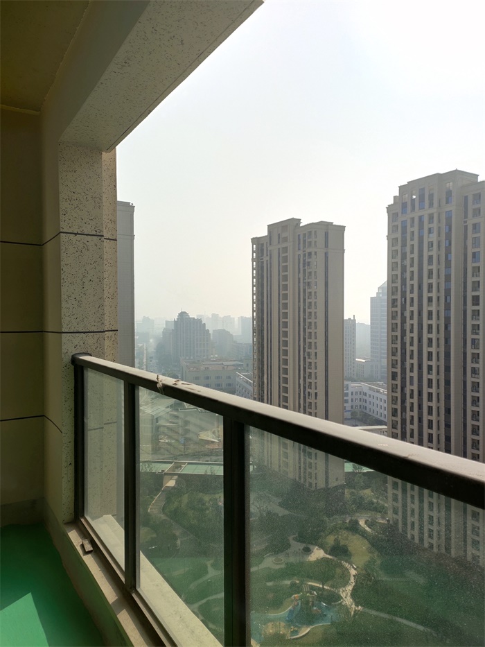 IMG_20191010_091957.jpg