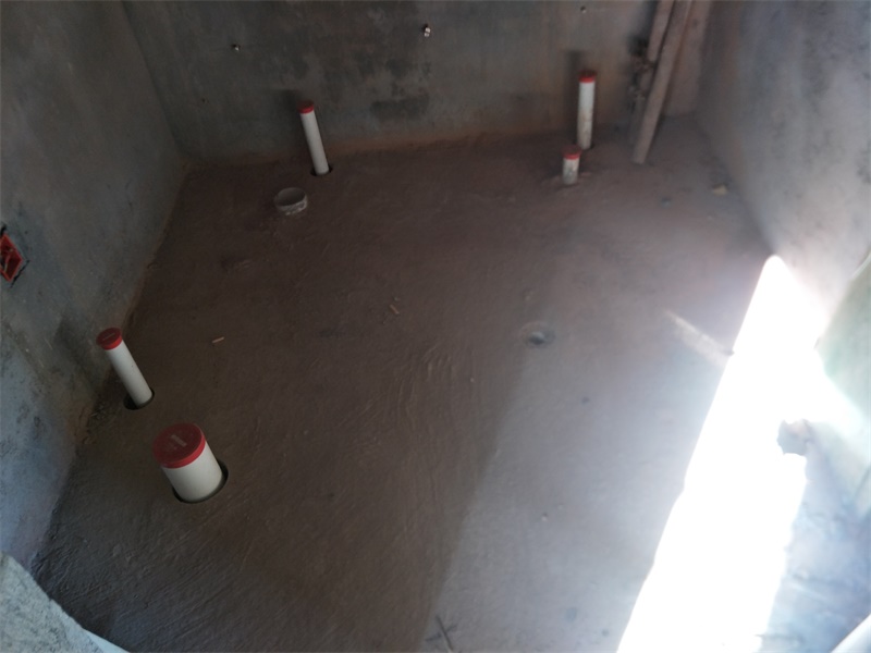 IMG20190921081342.jpg