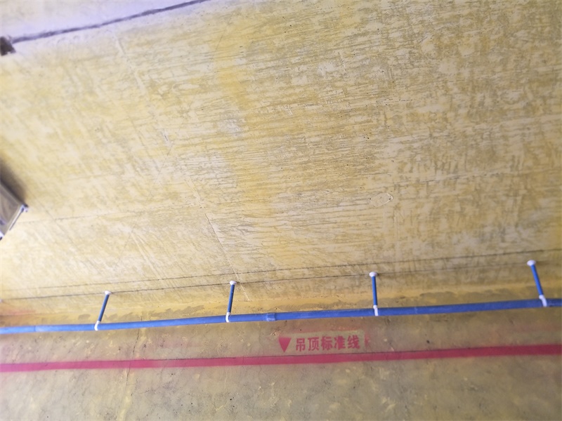 IMG20190921081654.jpg