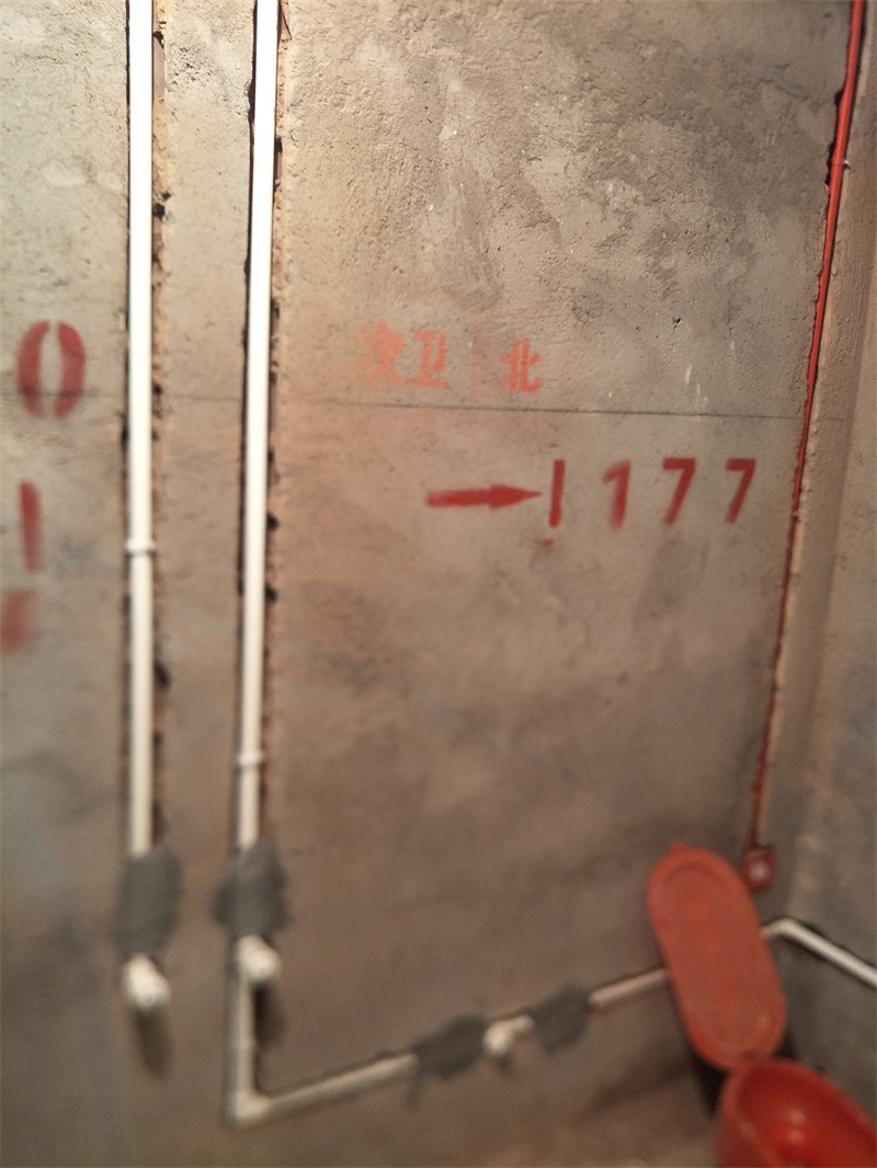 IMG20190928085730.jpg