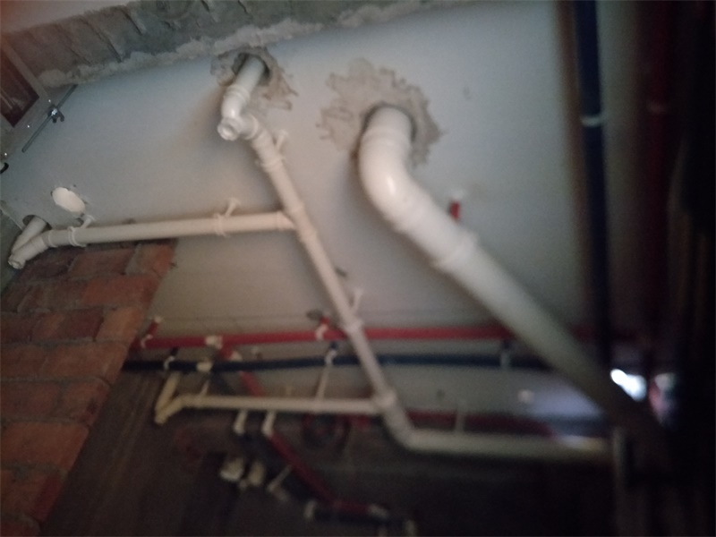 IMG20190928090207.jpg