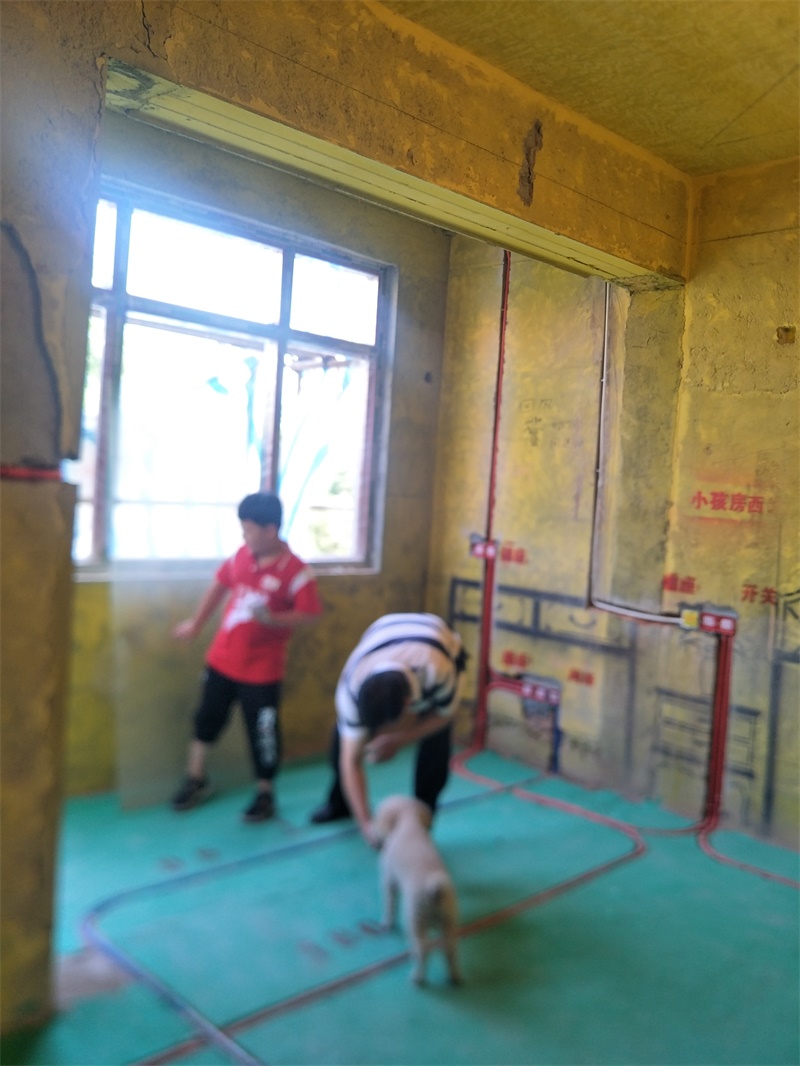 IMG20190928090706.jpg