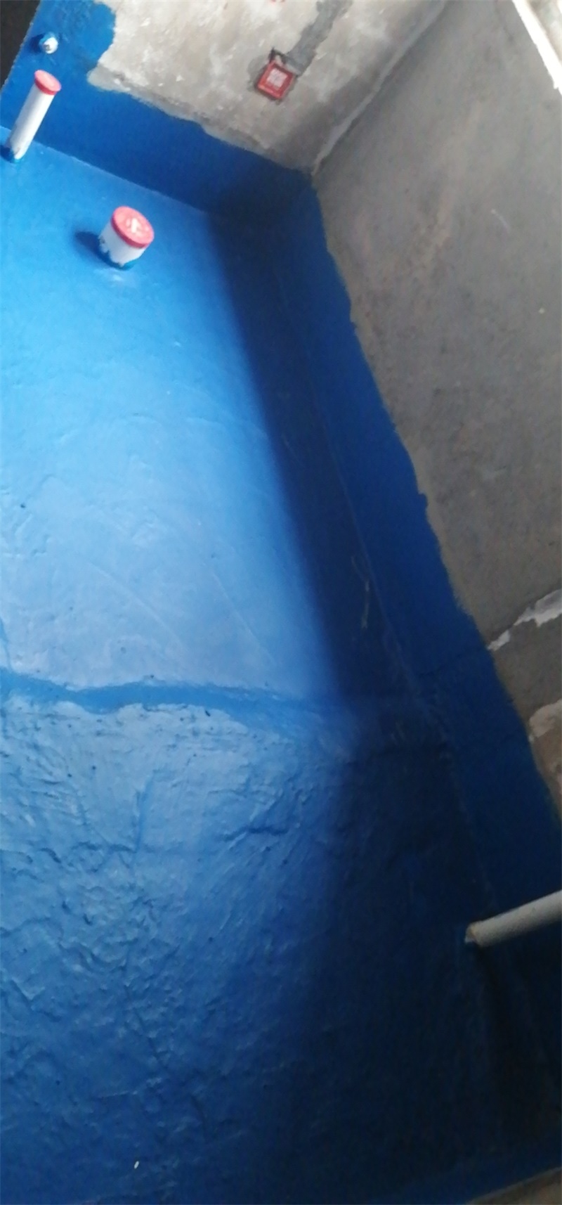 mmexport1570321700607.jpg