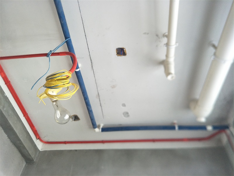 IMG20190927095411.jpg