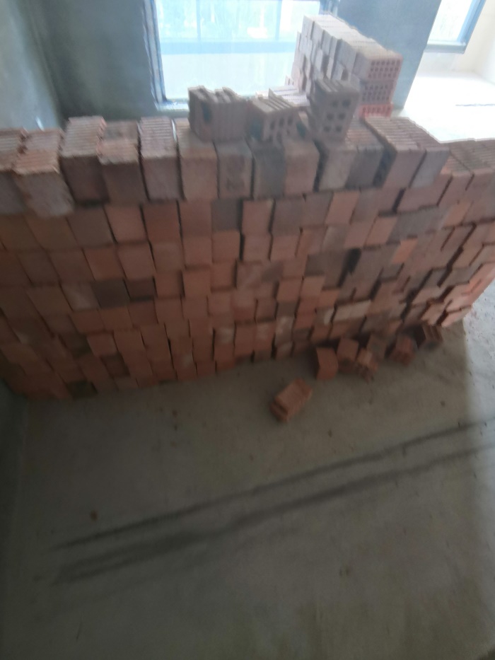 IMG_20191005_094634.jpg