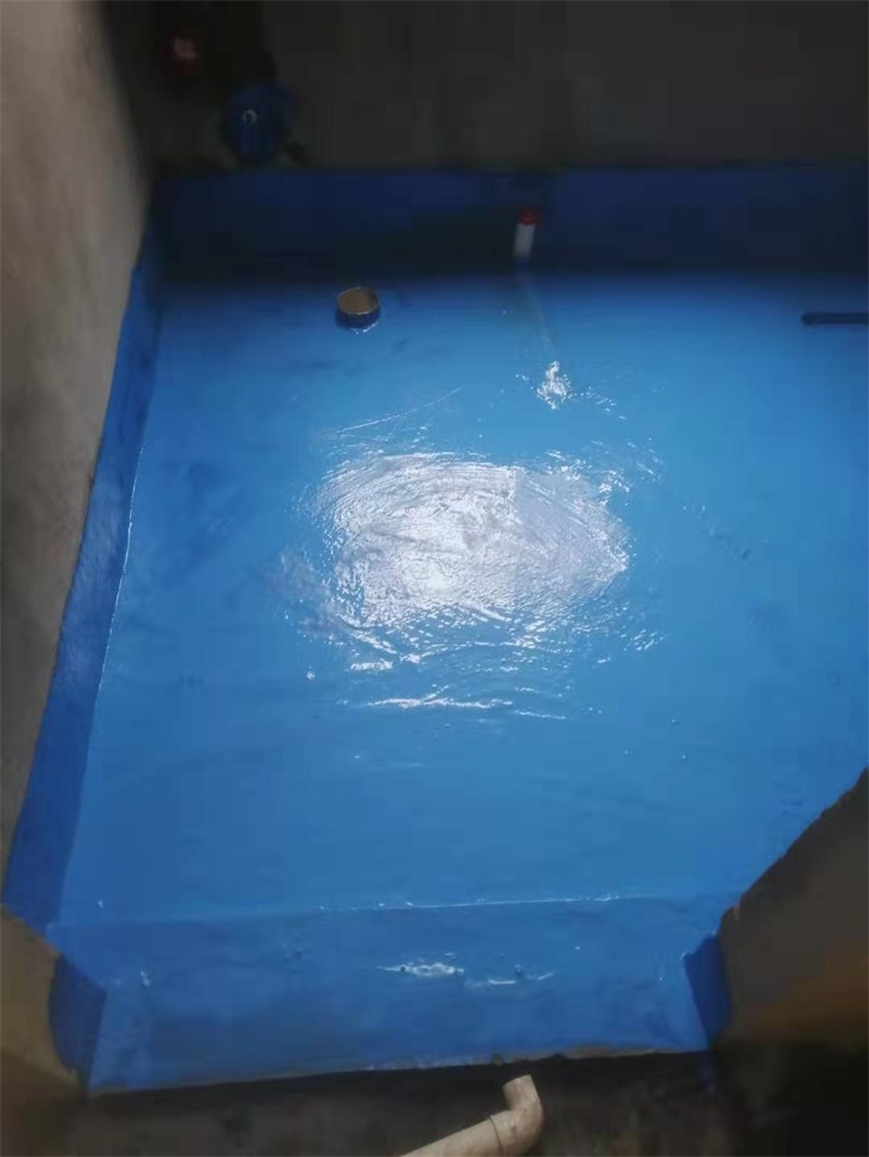 mmexport1570585101904.jpg