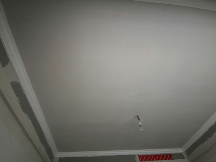 IMG_20191008_132240.jpg
